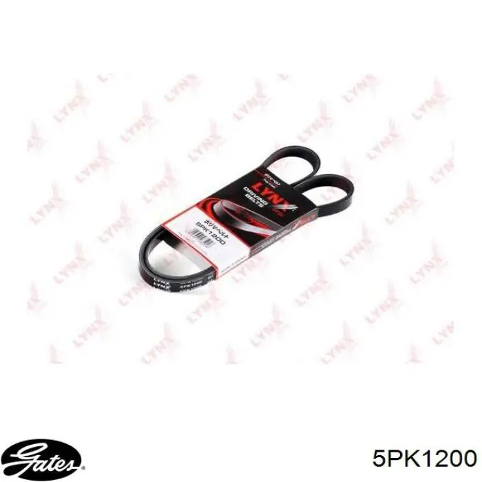 Correa trapezoidal Jeep Grand Cherokee 1 Z