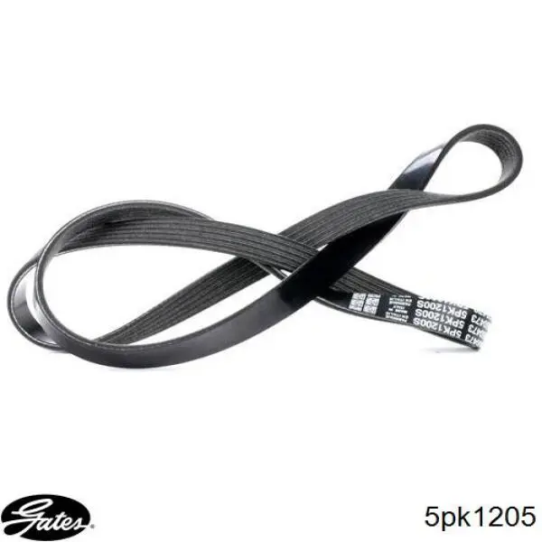 Correa trapezoidal Jeep Grand Cherokee 1 Z