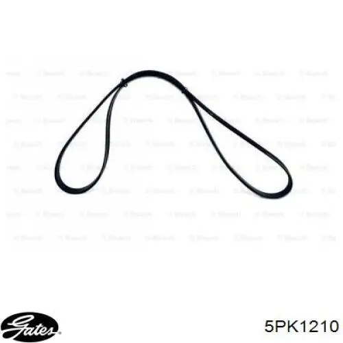 Comprar 5PK1210 Gates Correa trapezoidal