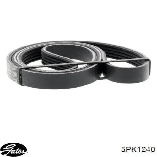 Correa accesorios Hyundai/Kia 2521203500