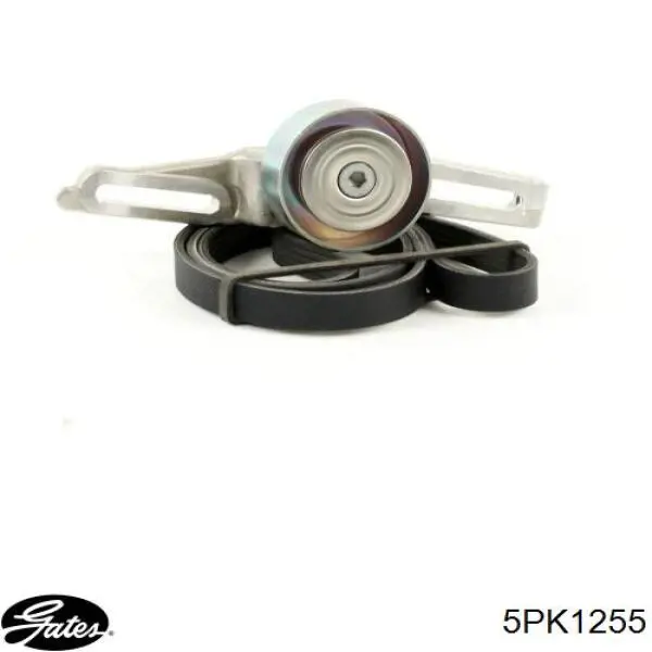 Correa de alternador 9192568 General Motors