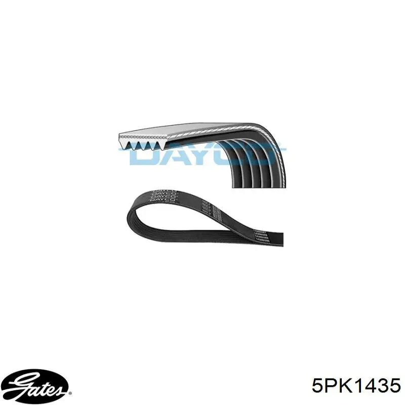 5PK1435 Gates Correa poly v