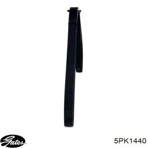 58401 Gates Correa poly v