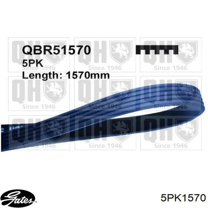Correa de alternador FB5PK1570 INA