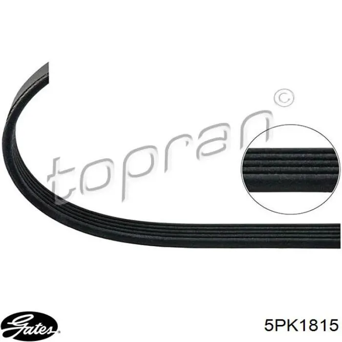 Correa accesorios Gates 5PK1815