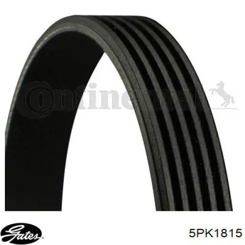 Comprar 5PK1815 Gates Correa trapezoidal