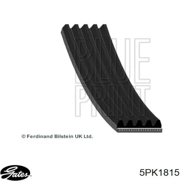 Correa de alternador 5PK1815 Gates