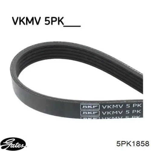 VKMV5PK1857 SKF correa trapezoidal
