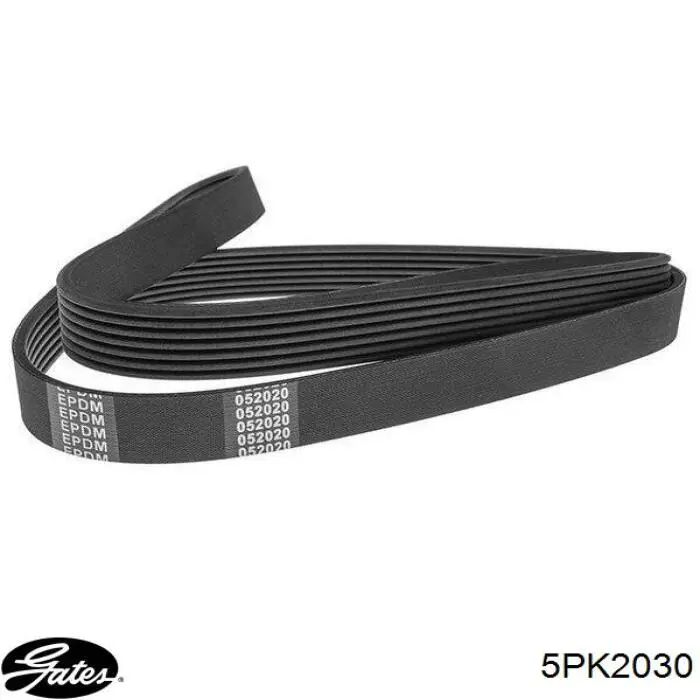 Correa accesorios Gates 5PK2030