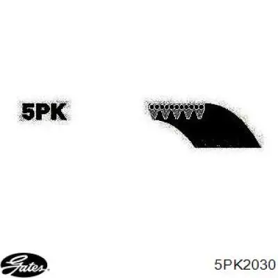 5PK2030 Gates Correa poly v