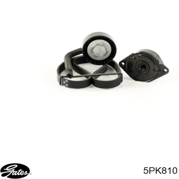 Correa de transmisión trapezoidal Optibelt 5PK812 precio, desde 9,32 EUR