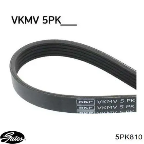 Comprar 5PK812 Optibelt Correa trapezoidal