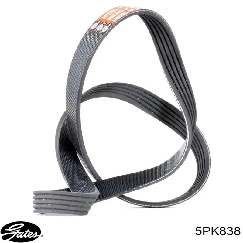 Comprar 5PK838 Gates Correa trapezoidal