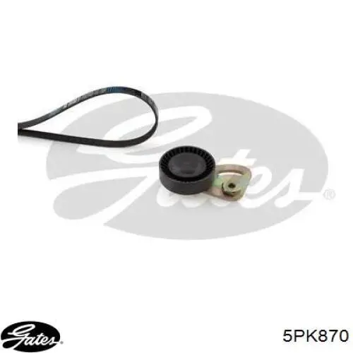 Correa de alternador 5PV875 Akron Malo