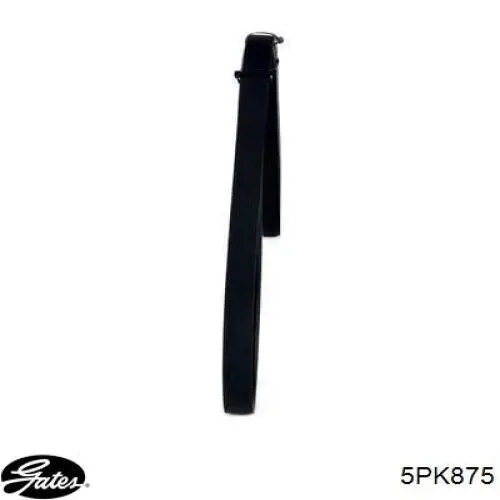 Correa de transmisión trapezoidal Gates 5PK875 precio, desde 8,55 EUR
