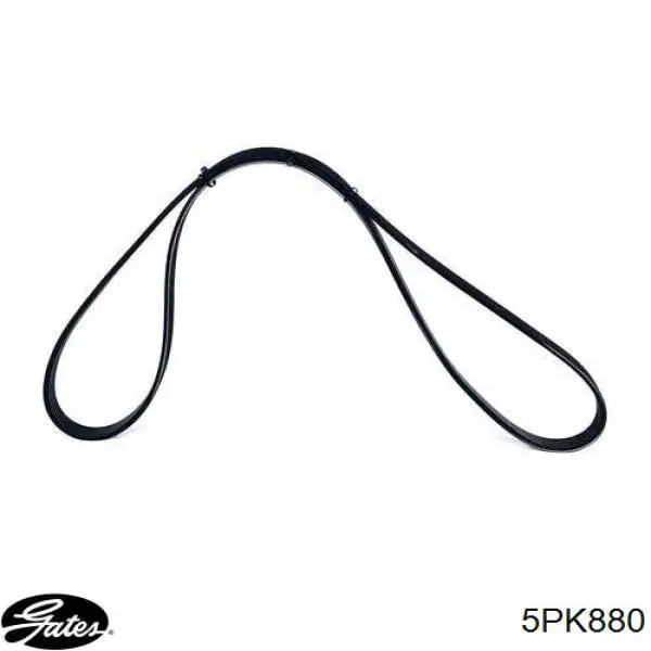 Comprar 55351459 General Motors Correa trapezoidal