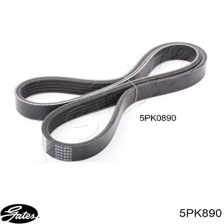 Correa accesorios Ford 1087286