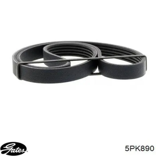 1087286 Ford Correa poly v