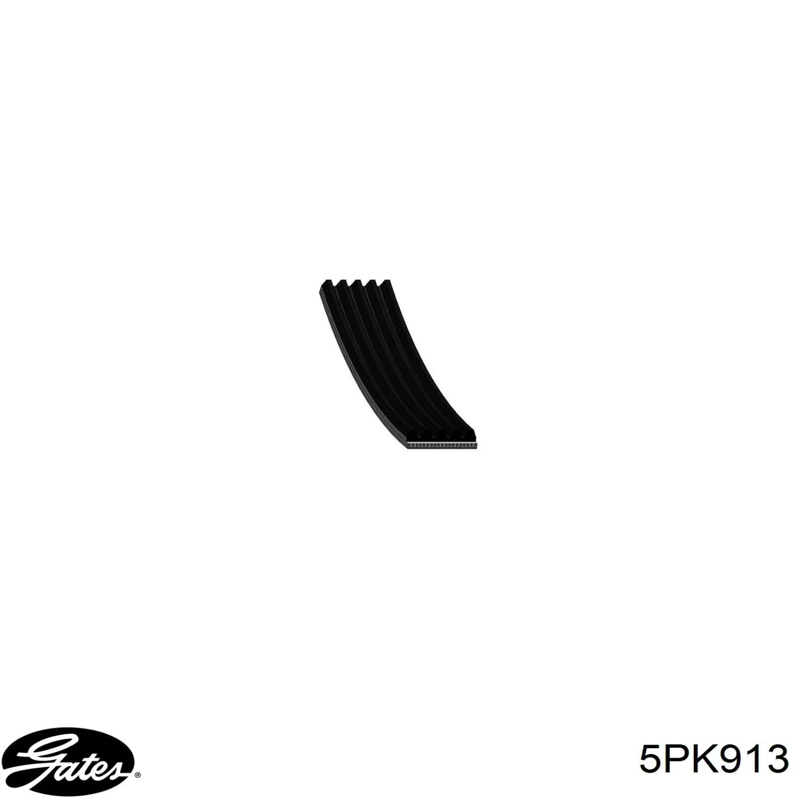 Comprar 5PK913 Gates Correa trapezoidal