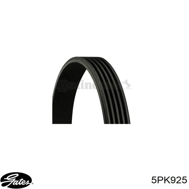 Correa de transmisión trapezoidal Fiat/Alfa/Lancia 71749418 precio, desde 9,66 EUR