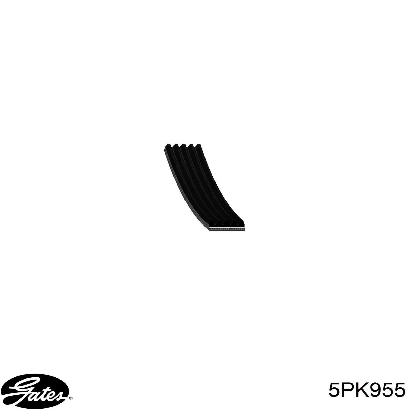 Correa trapezoidal dentada SKF VKMV5PK956 precio, desde 12,42 USD