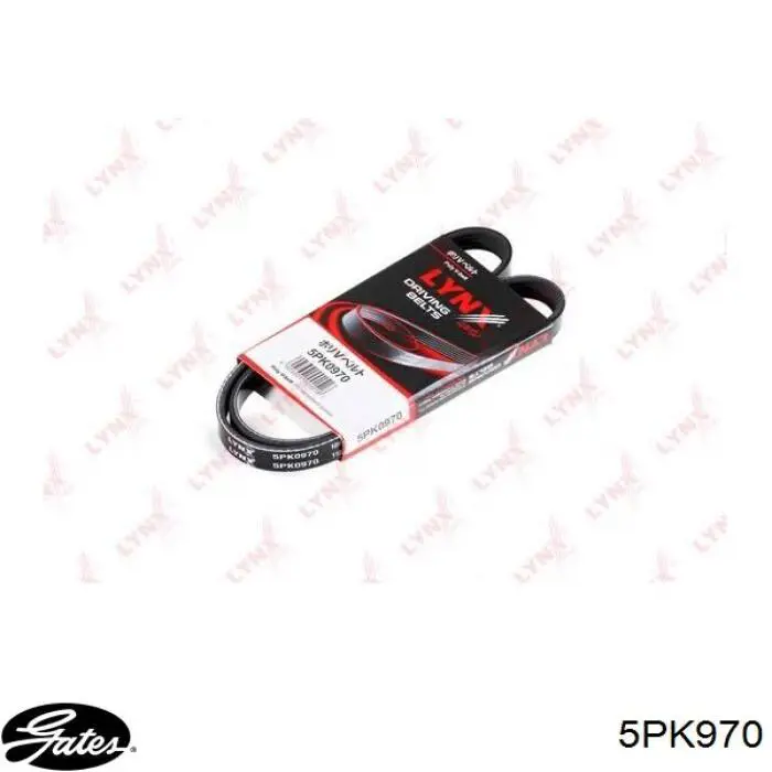 Correa accesorios Suzuki 1752161MA0000