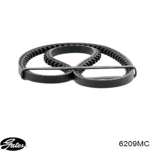 Comprar 6209MC Gates Correa trapezoidal