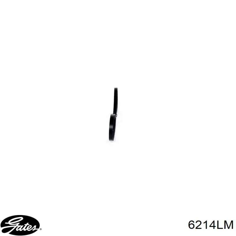 07119990150 BMW Correa poly v