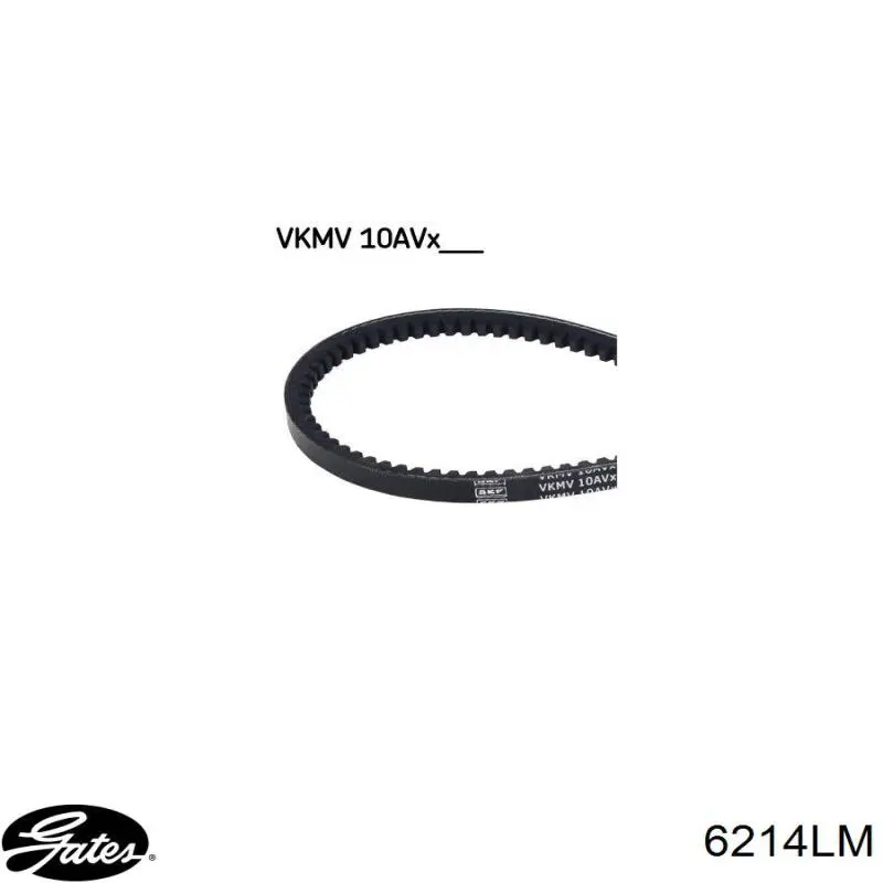 Correa accesorios BMW 07119990150