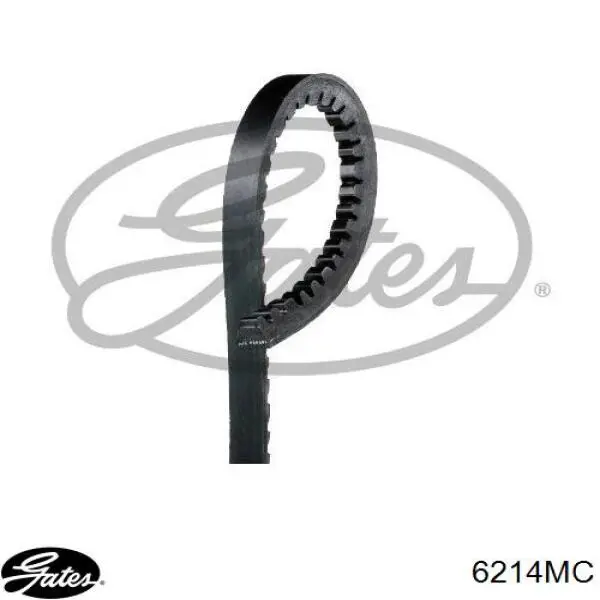 Comprar 07119990150 BMW Correa trapezoidal