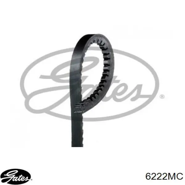 Correa de transmisión trapezoidal Peugeot/Citroen 575072 precio, desde 9,52 EUR
