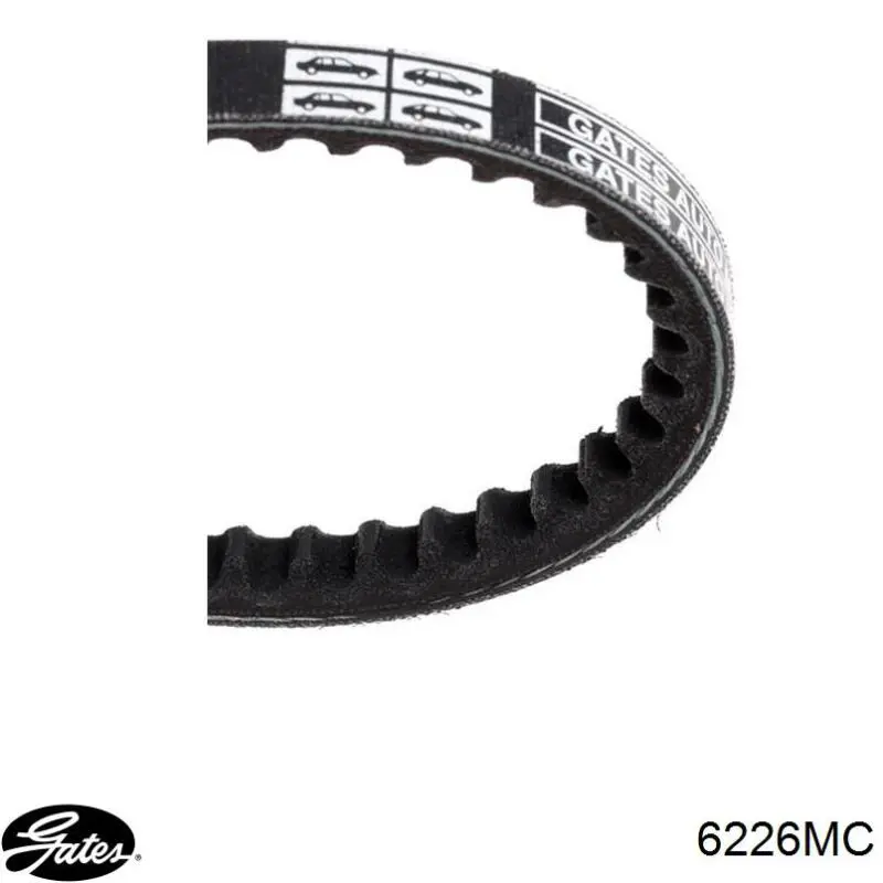 Correa de alternador 575072 Peugeot/Citroen