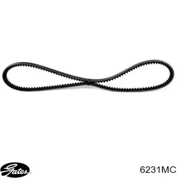 Correa de transmisión trapezoidal INA FB10X1275 precio, desde 13,39 EUR
