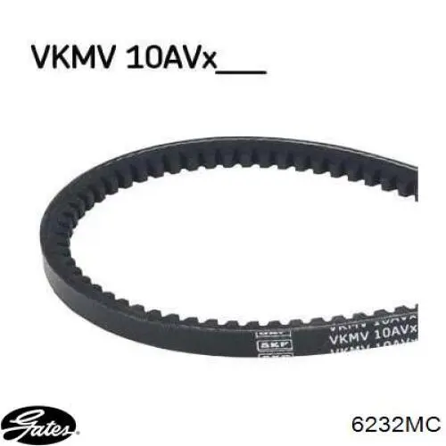 Correa de alternador 10X1300 Continental/Siemens