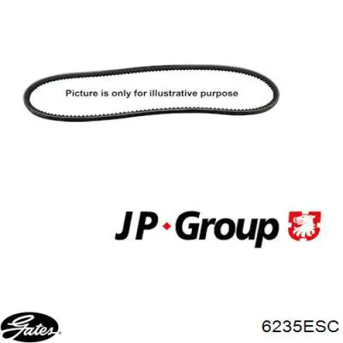 10A1375GL Dayco Correa poly v