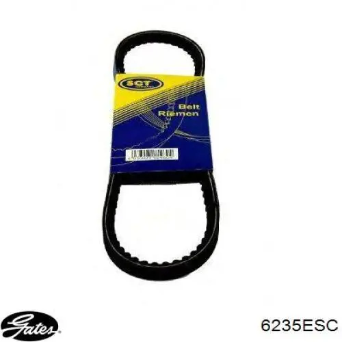 Correa de transmisión trapezoidal Dayco 10A1375GL precio, desde 12,62 EUR