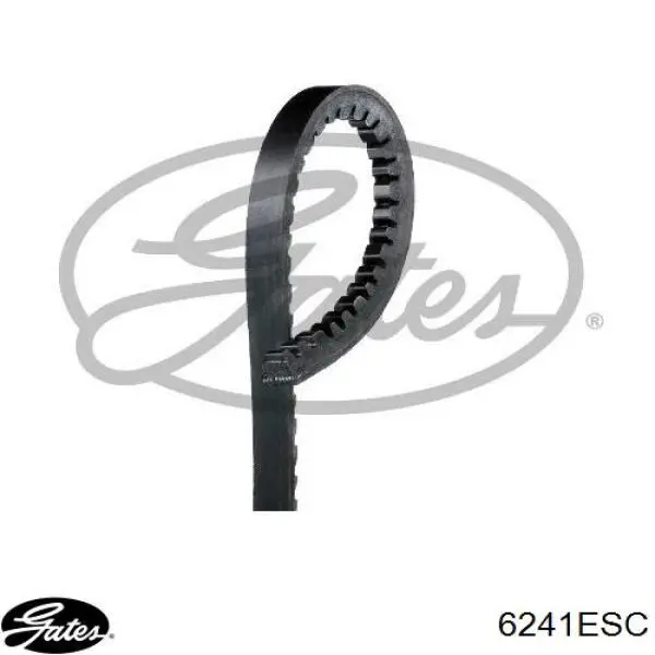 Correa de transmisión trapezoidal Dayco 10A1525HD precio, desde 17,97 EUR