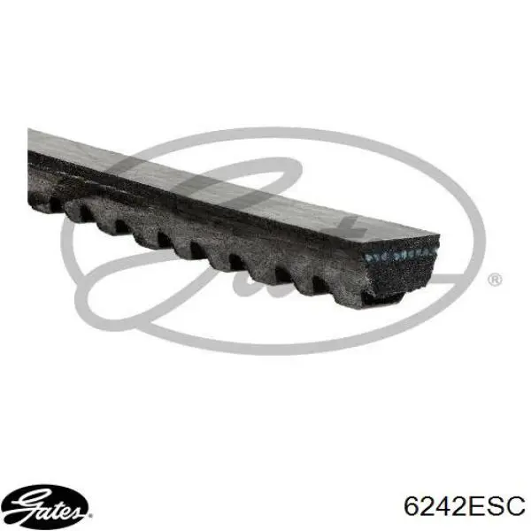 Correa de transmisión trapezoidal Gates 6242ESC precio, desde 17,70 EUR