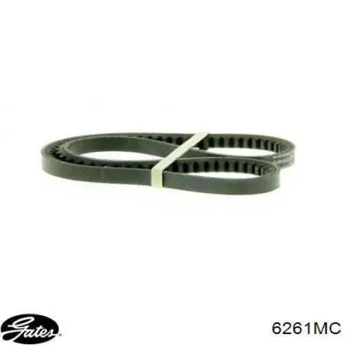 Correa de alternador 6261MC Gates