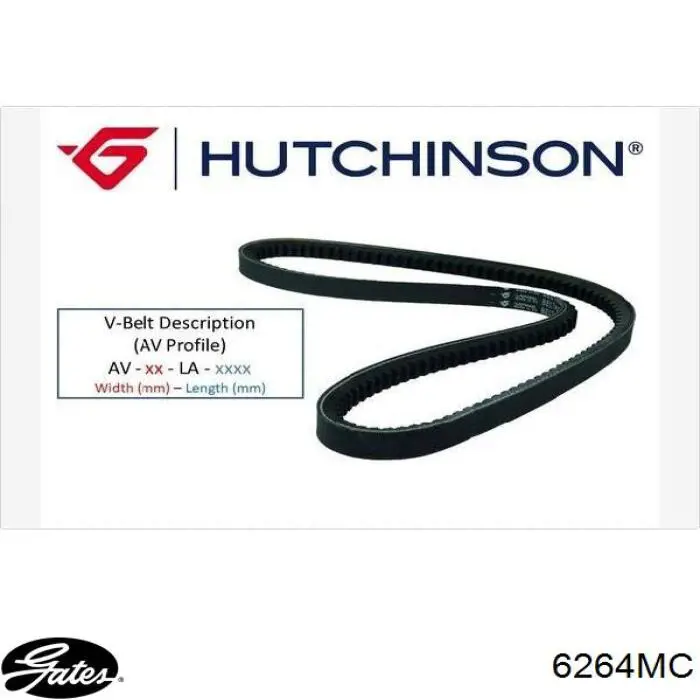Correa accesorios Opel 1340696