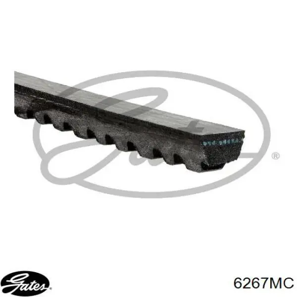 Comprar 6267MC Gates Correa trapezoidal