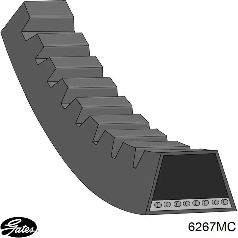 Correa de alternador 6267MC Gates