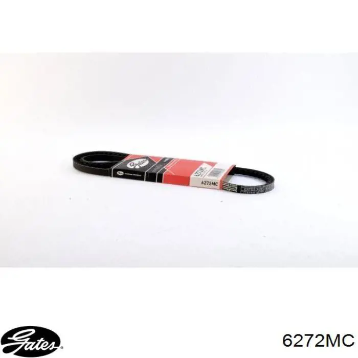 0071739900 Chrysler Correa poly v