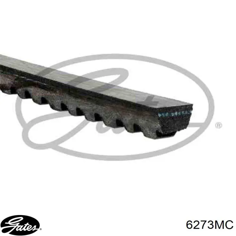 Comprar 6273MC Gates Correa trapezoidal