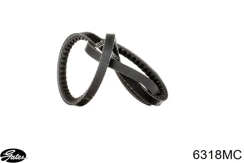 Comprar 6318MC Gates Correa trapezoidal