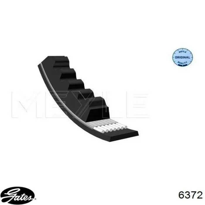 Correa de transmisión trapezoidal INA FB10X900 precio, desde 8,20 EUR