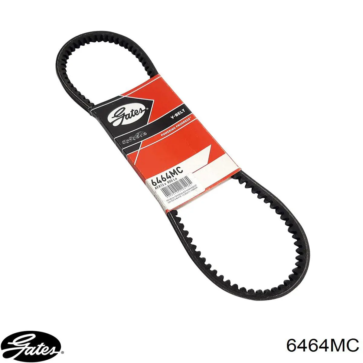 Correa de alternador 6464MC Gates