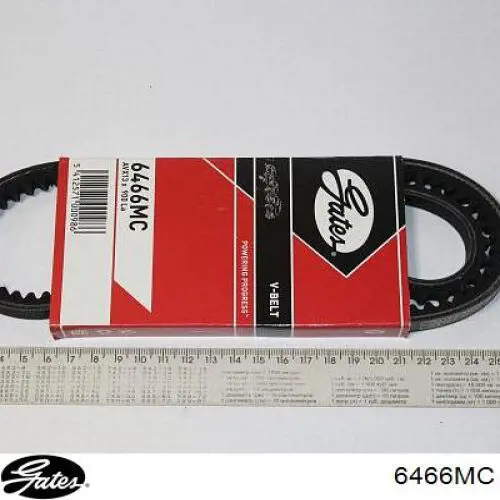 Comprar 3345 Bando Correa trapezoidal
