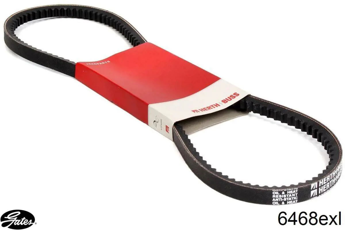 Correa trapezoidal Hyundai H-1 STAREX