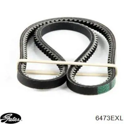 6473EXL Gates Correa poly v